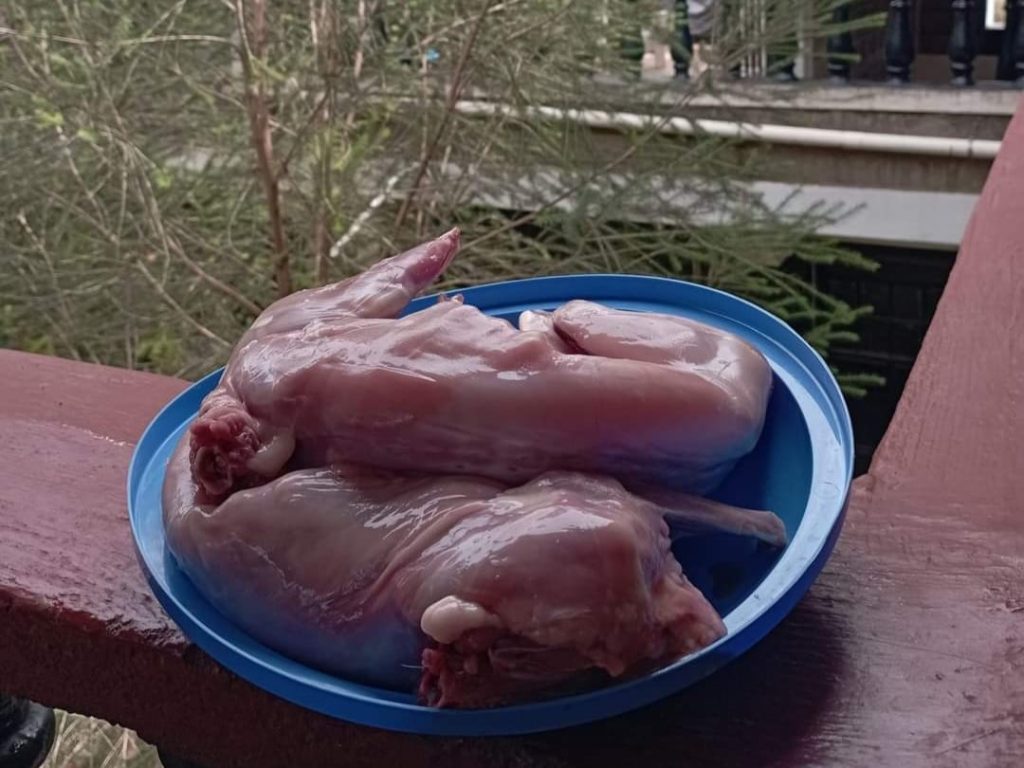 Where To Sell Rabbit Meat in Kenya