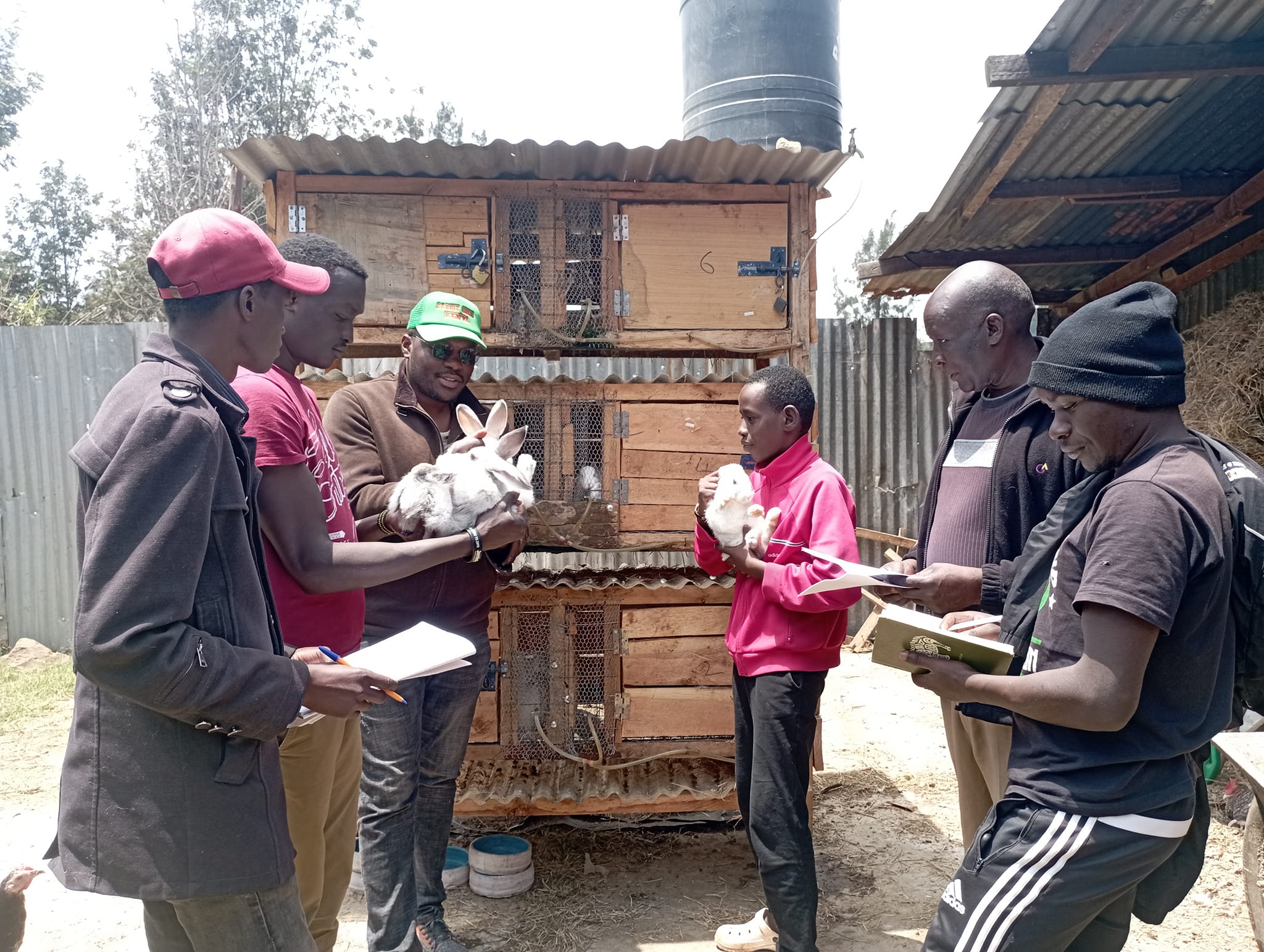 rabbit farming training