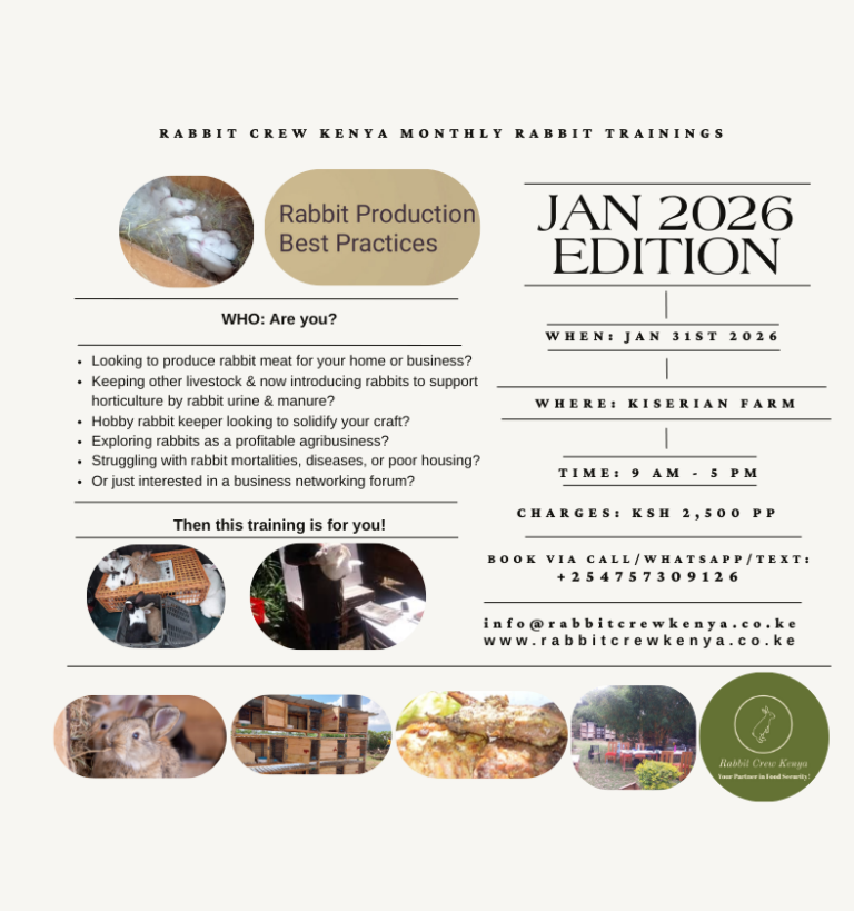Rabbit Crew Kenya – Your Partner In Food Security